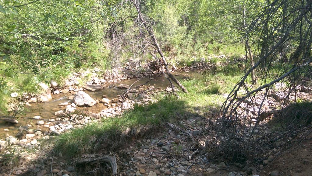 Fishing the Verde River