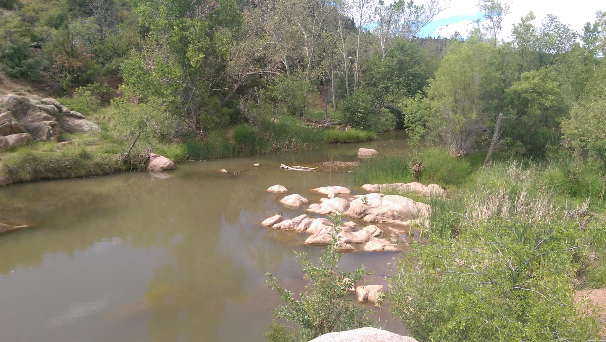 IMAG0347.jpg